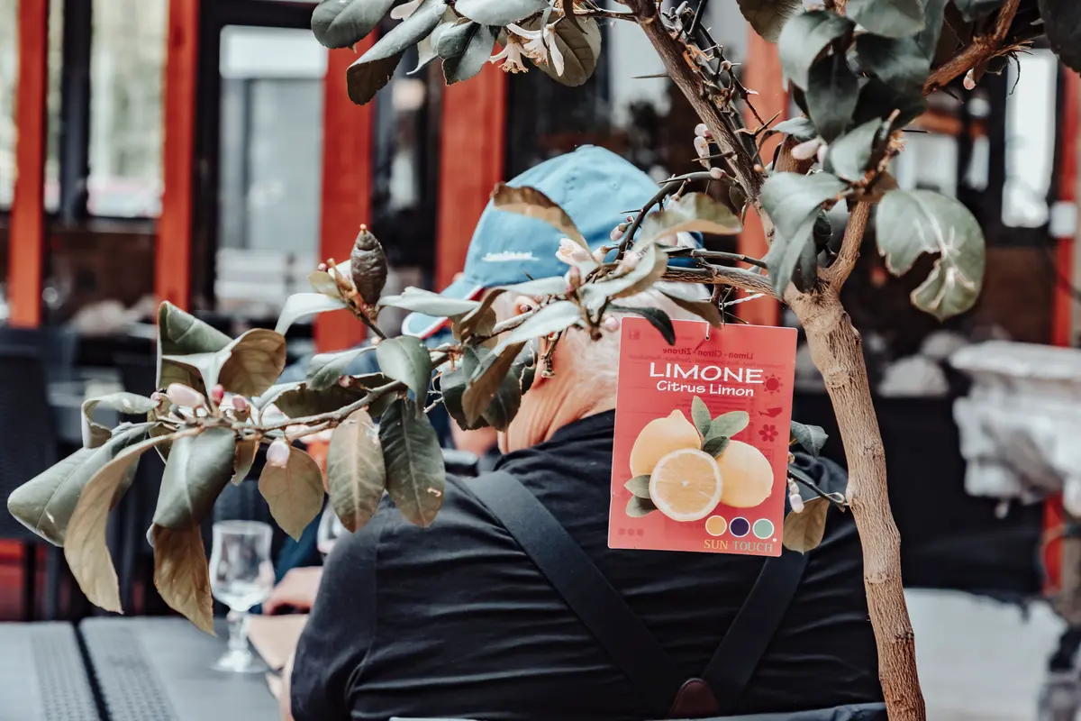 La Dolce Vita Élancourt — photo 64